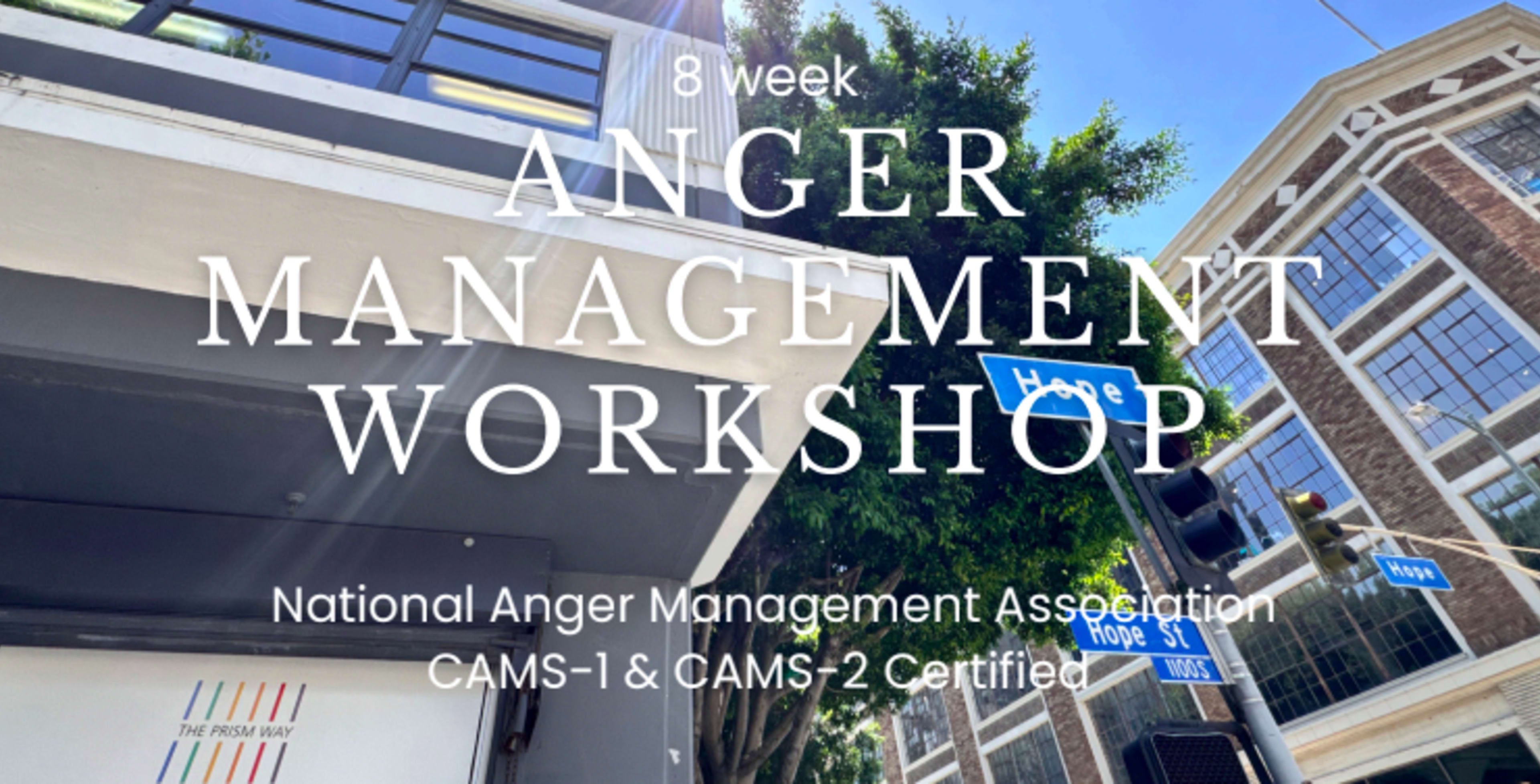Picture for Certified Anger Management Workshop in Los Angeles