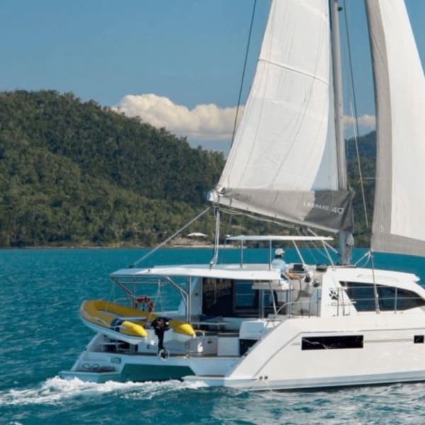 Leopard 40