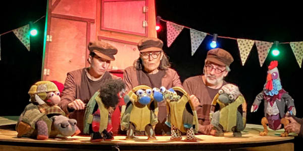 Sigues tortuga