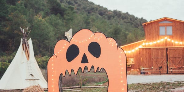 Festa de la tardor a la Reserva Wild Forest