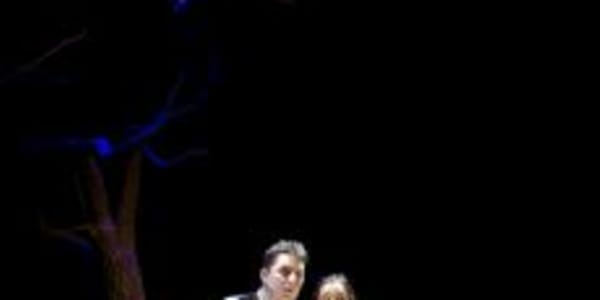 LA CAMISA DE L'HOME FE...