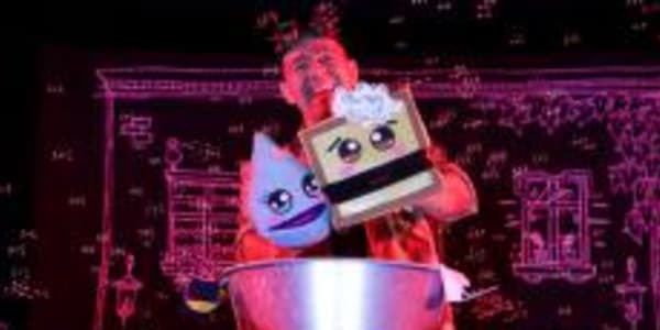 EL PROFESSOR BROMERA