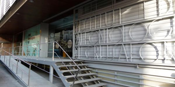 Visita guiada al Museu de Paleontologia Miquel Crusafont