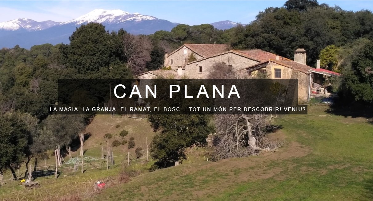 La Castanyada a Granja Can Plana