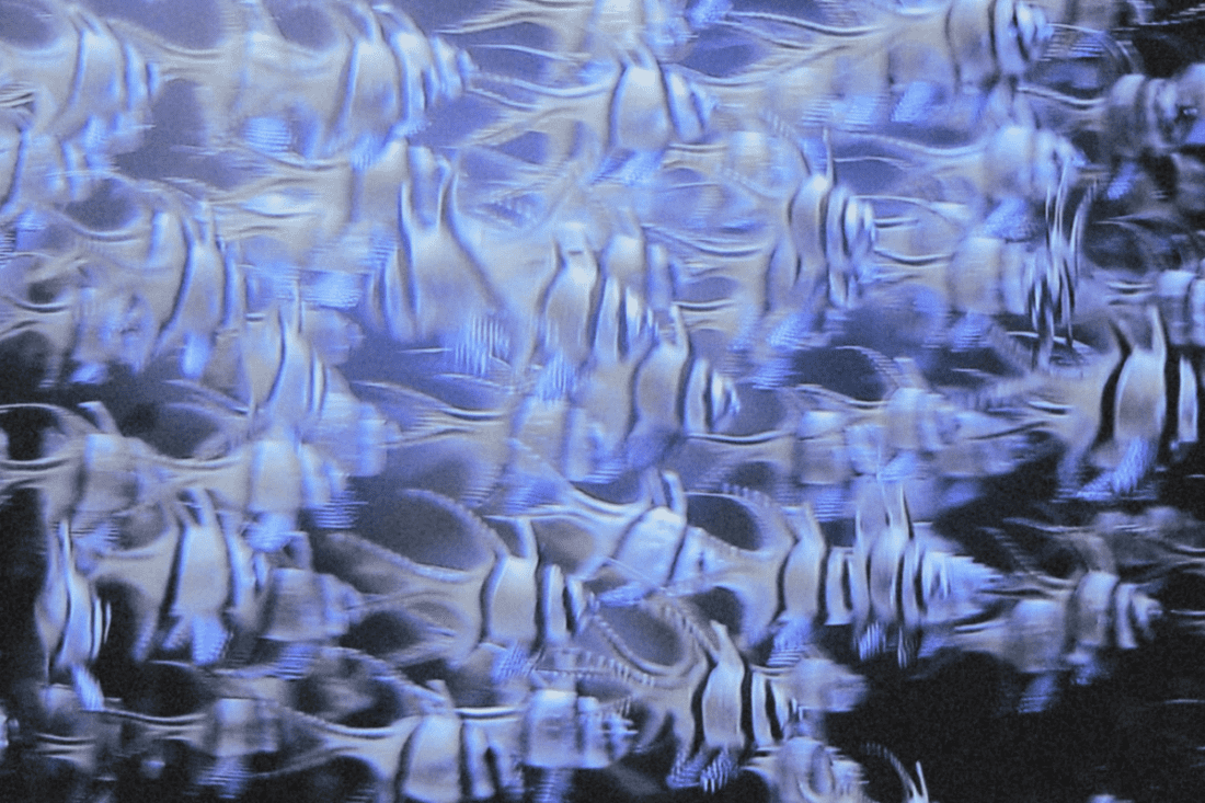Flow
