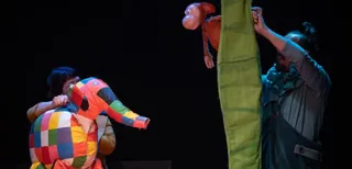 Elmer, l’elefant de colors