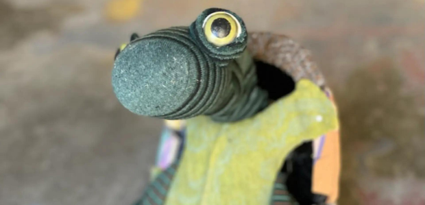 Sigues tortuga