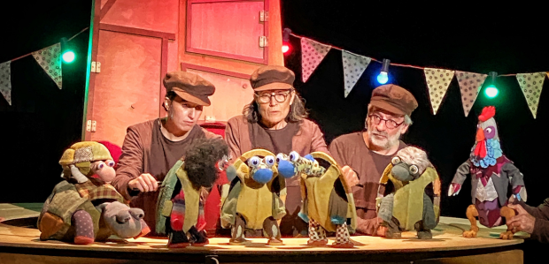 Sigues tortuga