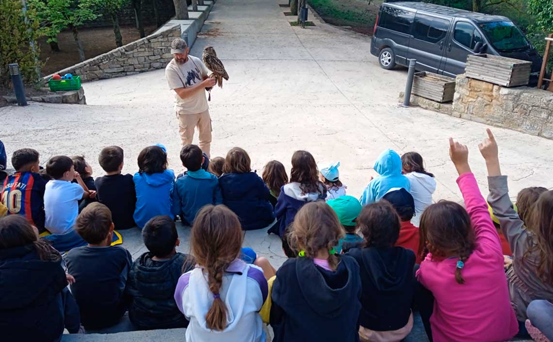 Animals i moltes aventures