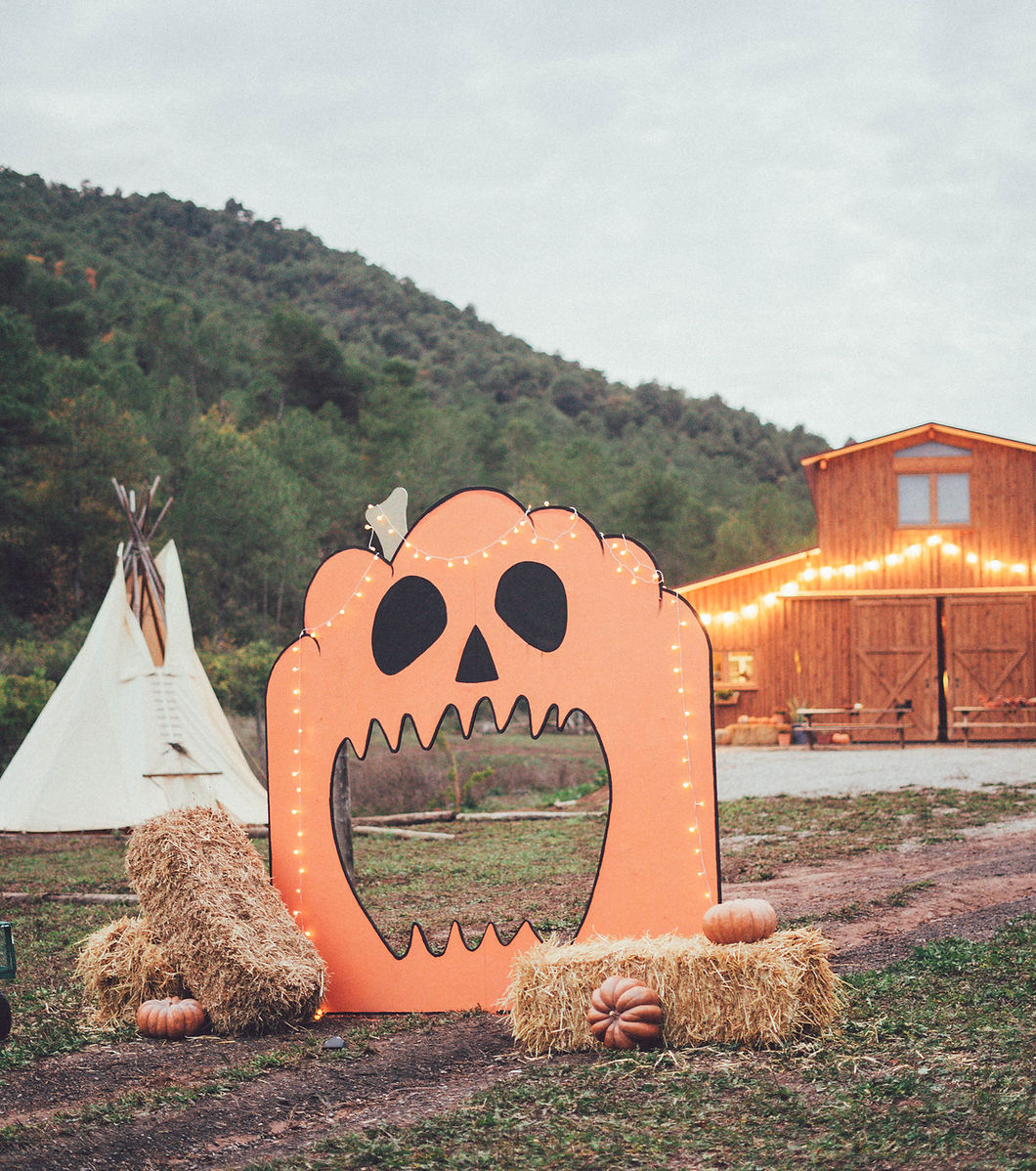 Festa de la tardor a la Reserva Wild Forest