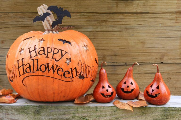 Halloween a Camping Lava