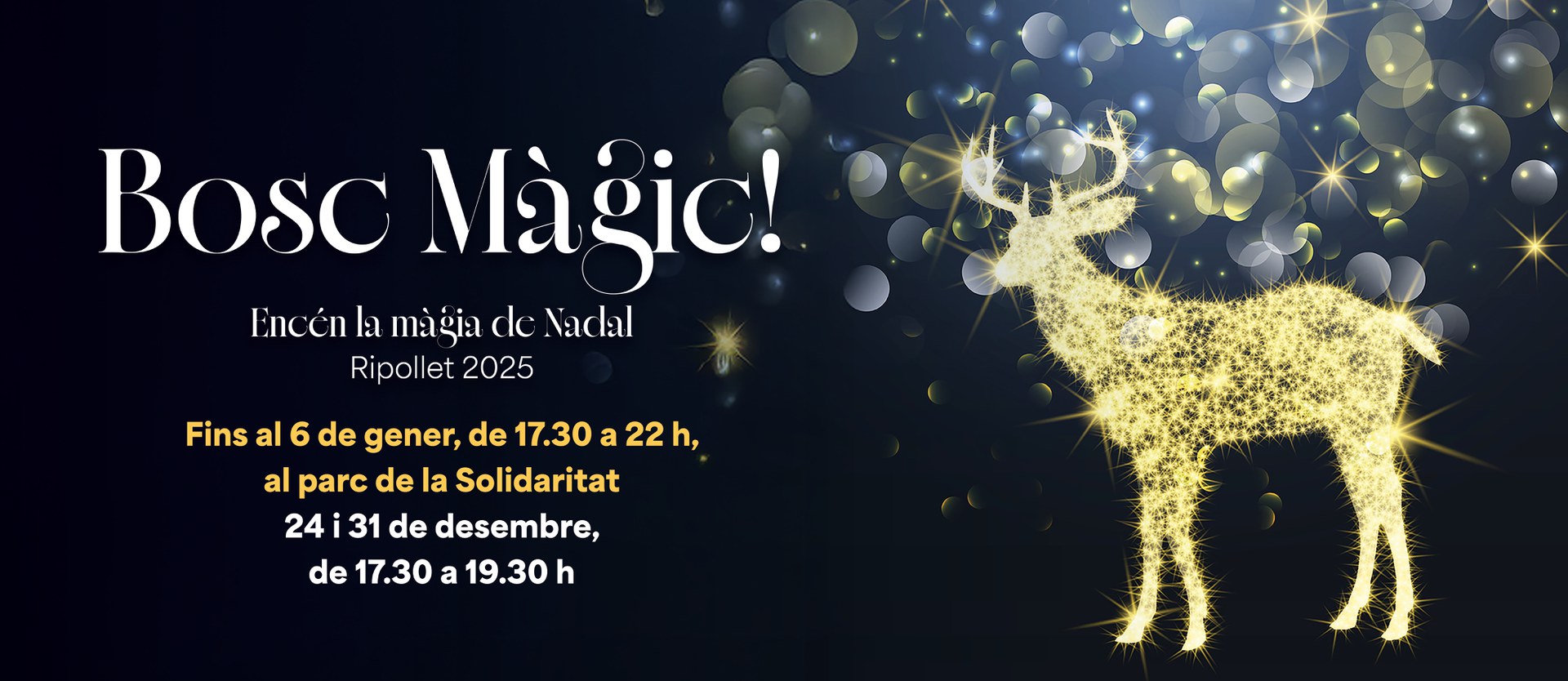 El Bosc màgic 2025