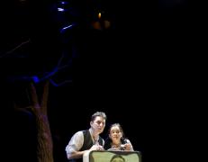 LA CAMISA DE L'HOME FE...