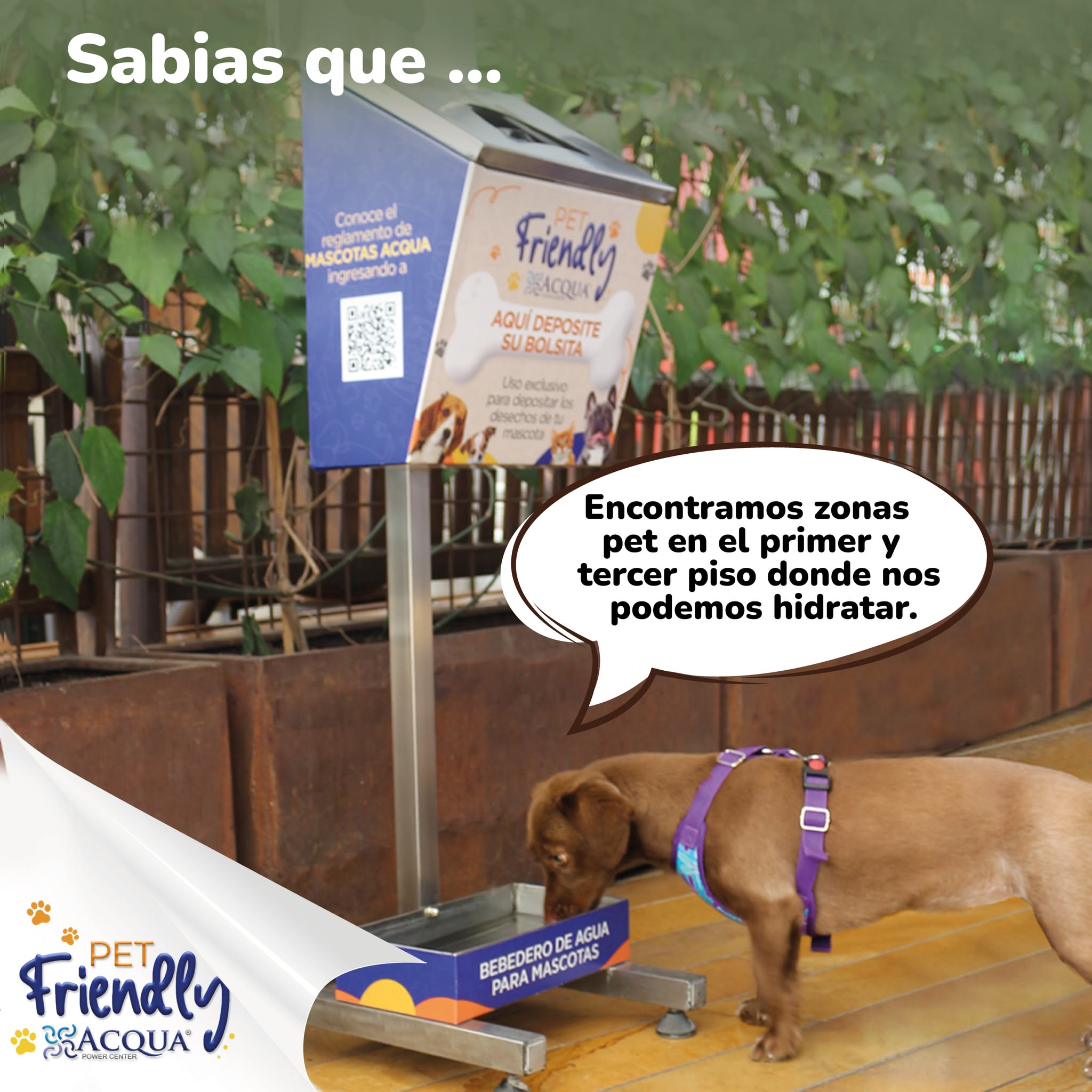 zonas pet 5