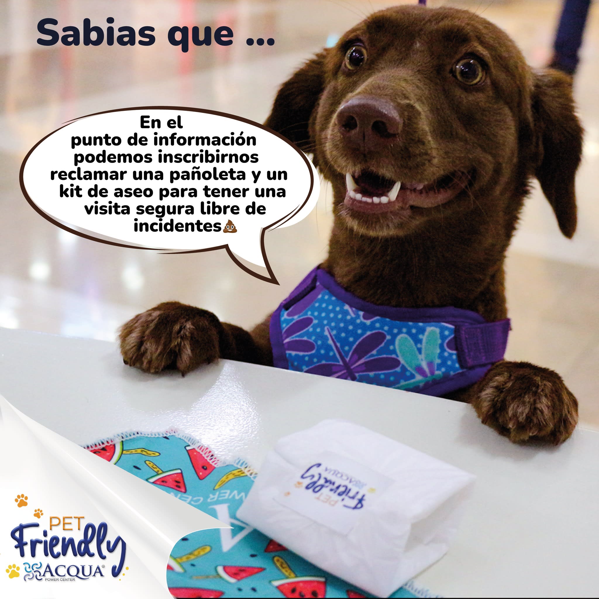 zonas pet 2