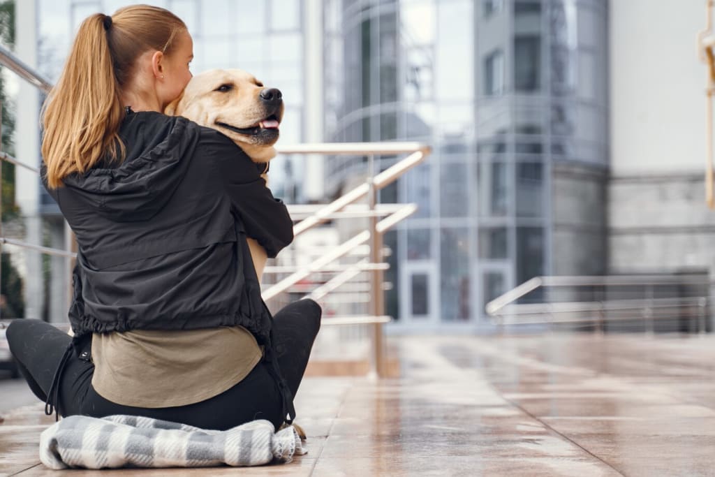 Acqua Ibagué es Pet-Friendly: Disfruta con tu Mascota