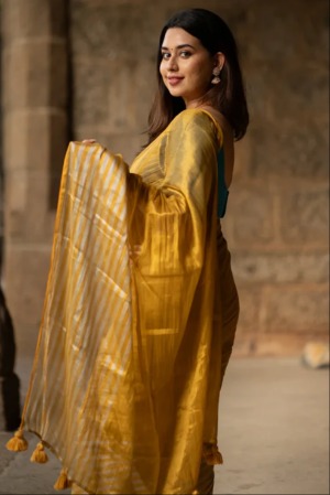 Dyuti Tissue Cotton Saree - View 6