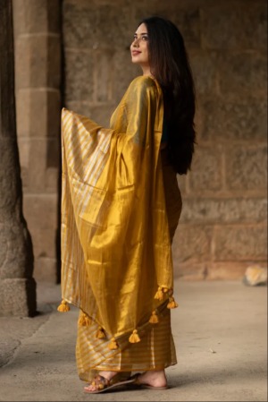 Dyuti Tissue Cotton Saree - View 2