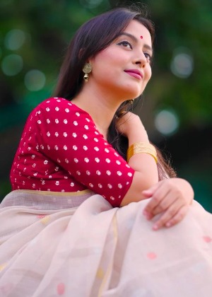 Soft linen woven saree - View 4