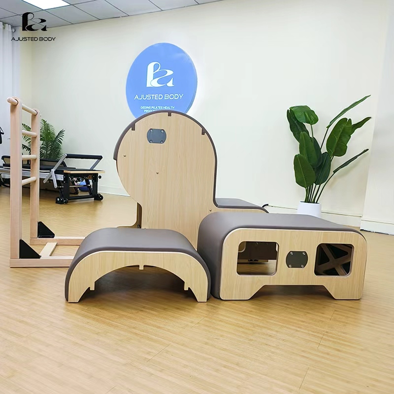 BA Combination ladder bucket