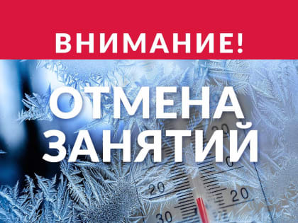 Школьники Южноуральска, Коркино и Кыштыма восьмого декабря останутся дома