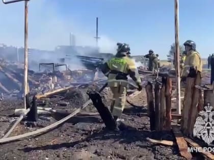 В деревне под Коркино сгорели два дома