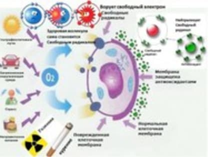 Консультационный пункт информирует