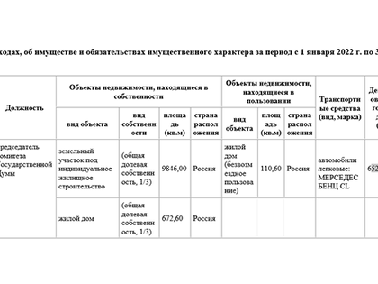 Депутат Госдумы Гартунг опубликовал декларацию о доходах за 2022 год
