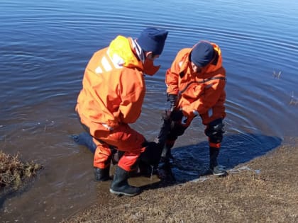 В Нагайбакском районе нашли пропавшего рыбака