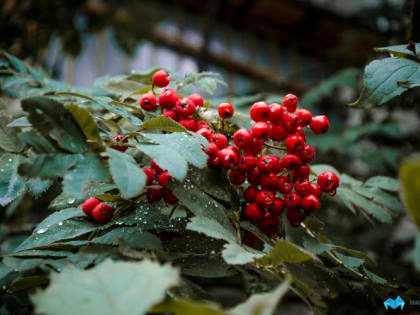 Прогноз погоды на завтра