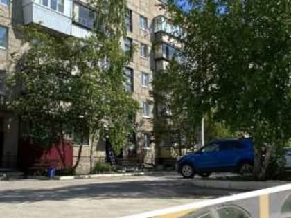 Более двух миллионов рублей было собрано в рамках праздничного телемарафона Народного фронта 