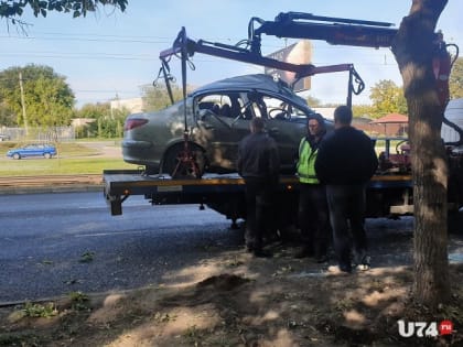 Столкнувшаяся с деревом южноуральская автоледи оказалась в реанимации ФОТО