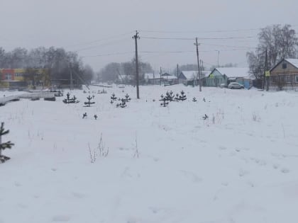 Сильные осадки в виде мокрого снега создали проблему на дорогах Челябинской области