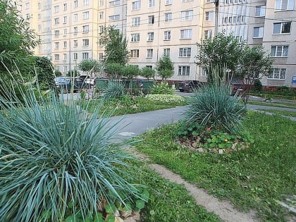 «Варвары!»: газоны самого красивого двора в Челябинске разрушили ради парковки