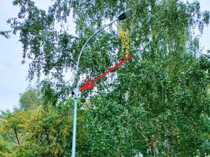 Снова бесполезные камеры