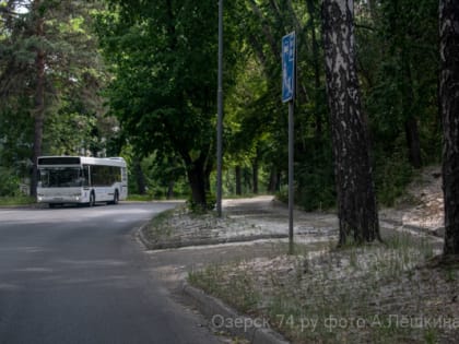 Городские будни, или Почему бобрам в Озёрске хорошо