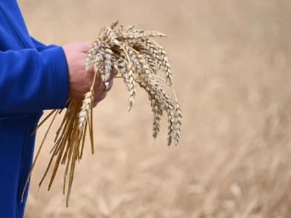 Что даст аграриям Южного Урала новая господдержка АПК