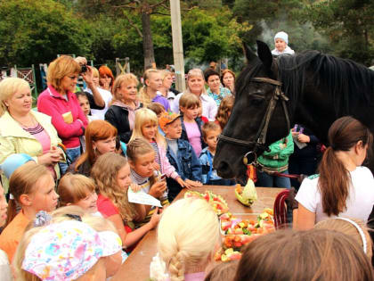 Челябинцев пригласили на фестиваль, где можно бесплатно покататься на лошадях