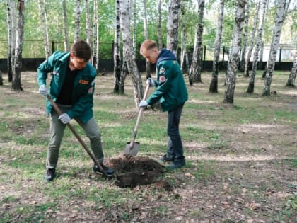 Студенты ЮУрГУ приняли участие в акции «Зелёный десант»