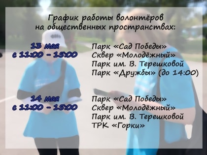 Проголосовать за объект благоустройства можно через интернет-портал или волонтёра