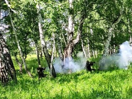 В Челябинской области ликвидировали потенциальные бандформирования