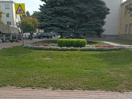 В Тракторозаводском районе завершился третий этап кошения травы