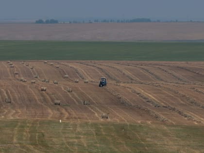 Господдержка аграриев Чесменского района составляет порядка ₽80 млн в год