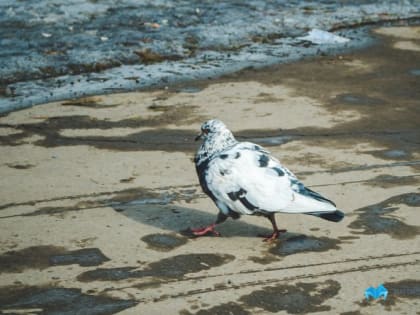 В Магнитогорске ожидается потепление