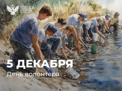 Поздравление с Днем добровольца