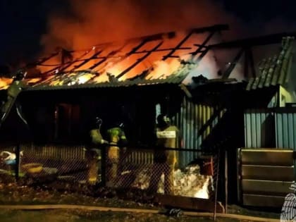 Сроки перечисления пособий для беременных женщин и семей с детьми