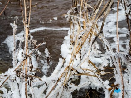 Магнитогорцам пообещали теплую неделю