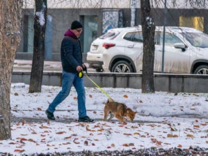 Южноуральцев ждут снежные выходные