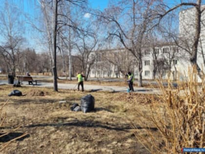 Как в Миассе обстоят дела с уборкой скверов?