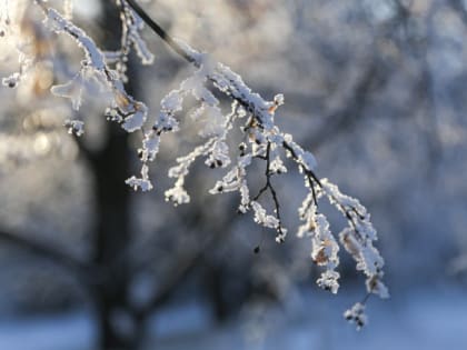 Жителей Челябинской области предупредили об изморози и тумане